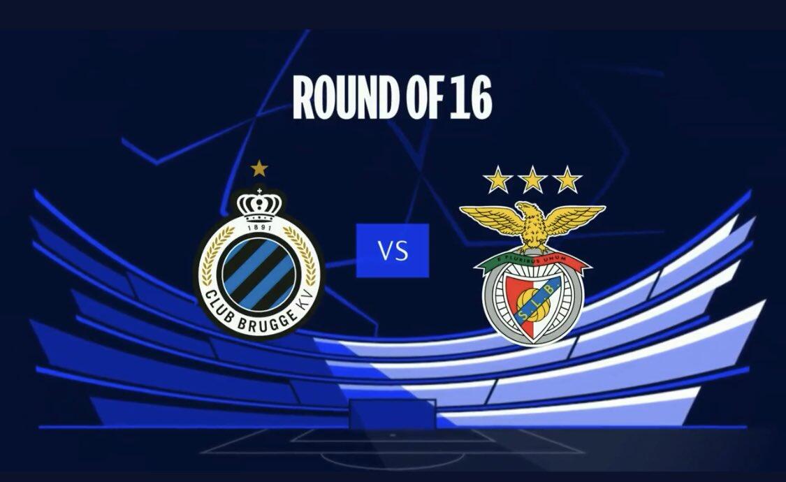 中国网球正 中国网球正