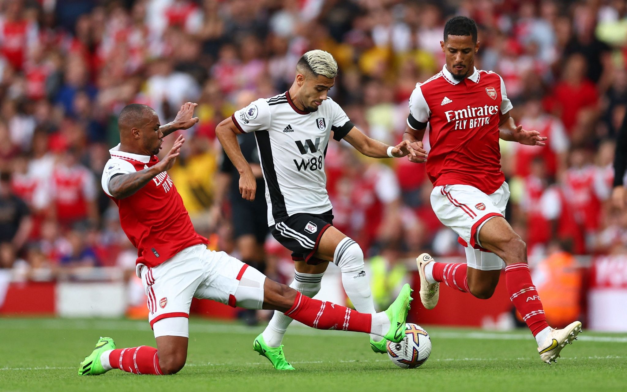 素质的全方 素质的全方